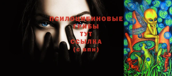 дурь Балахна