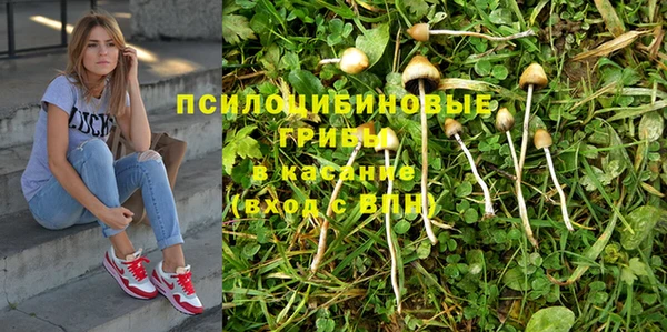 дурь Балахна