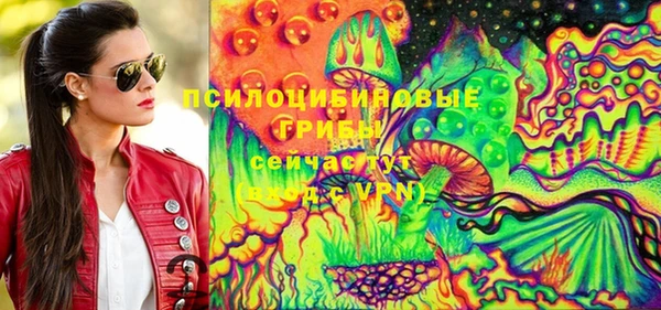 гидра Баксан