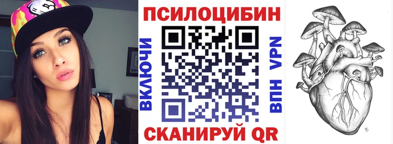 где купить наркоту  Кушва  Галлюциногенные грибы Cubensis 